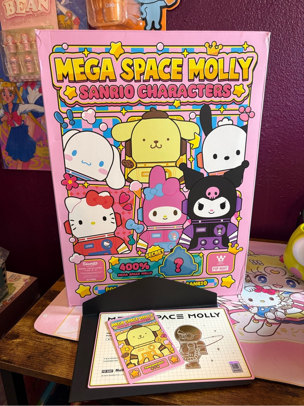 Mega Space Molly Sanrio Characters Collector Box - Pink